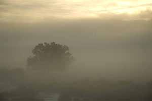 andy anderson coast starlight foggy image